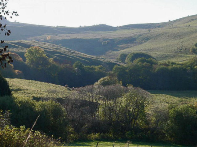 colline;auvergne;sancy;gîte